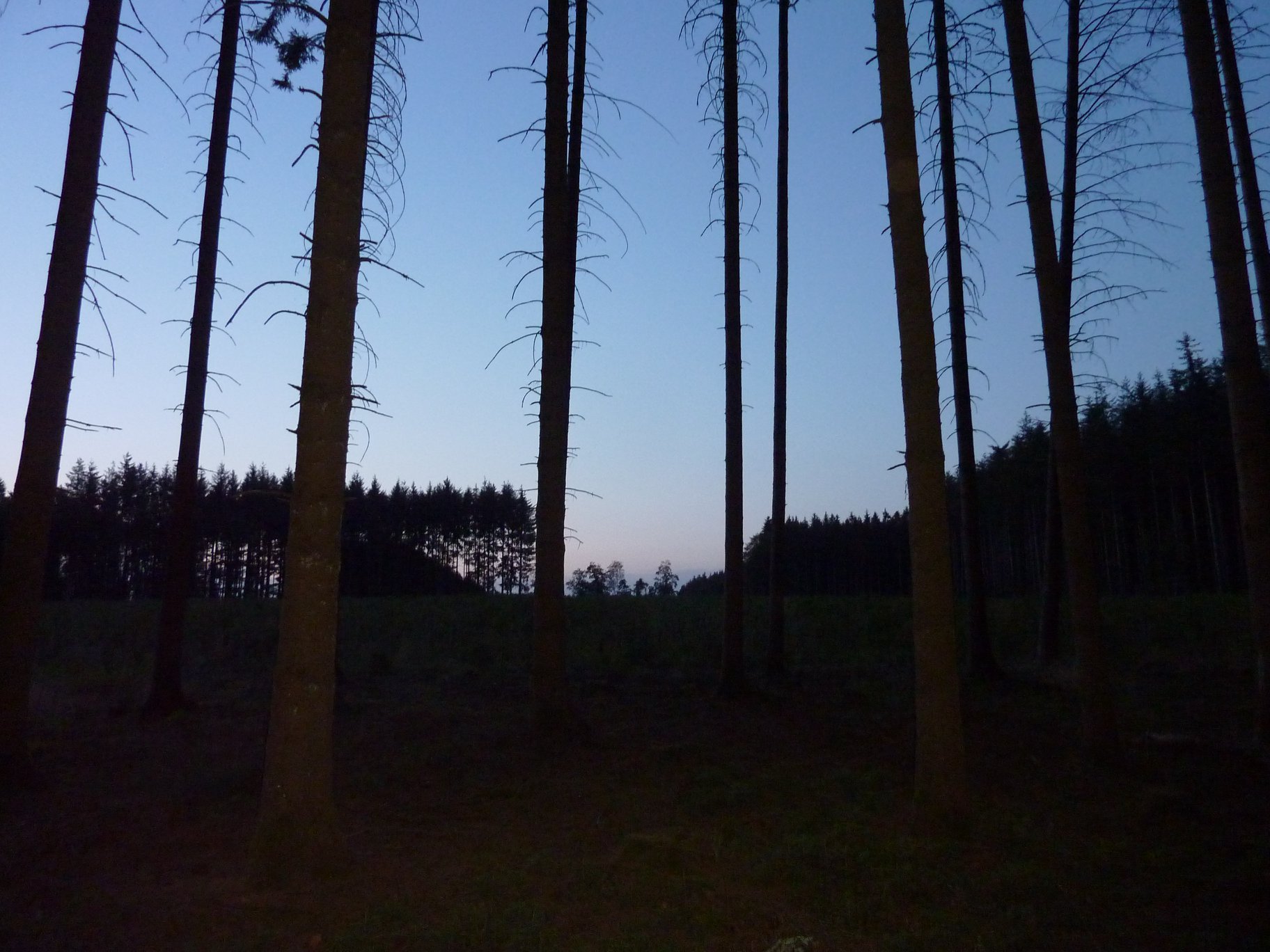 Sint-Martinus den XIIde - Kamp Losange JVK